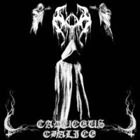 Moon- Cover